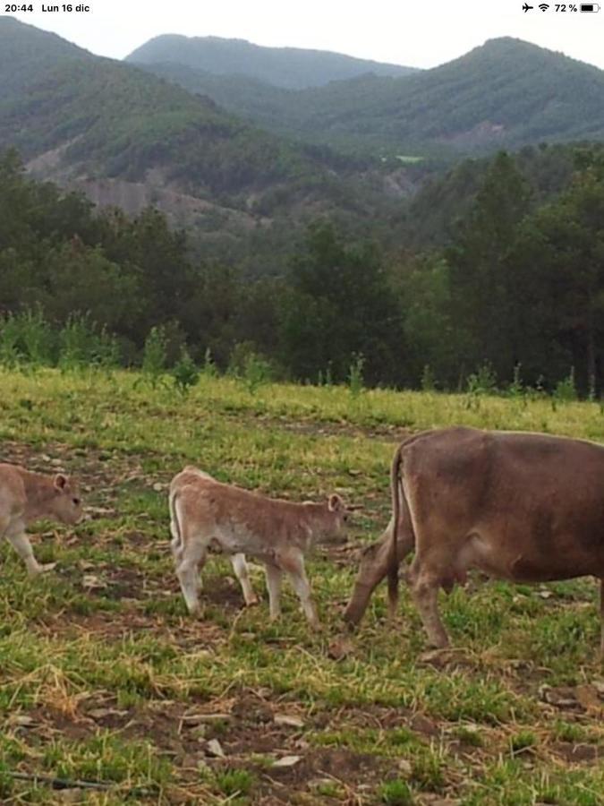 Vistas A La Montana En Un Pueblo Con Encanto. El Pueyo de Araguás Exterior foto